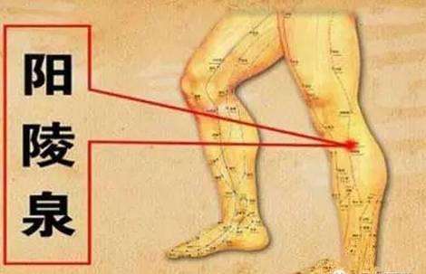 膝骨性关节炎有多恐怖？上楼梯能要你半条命，该怎么办呢？艾灸