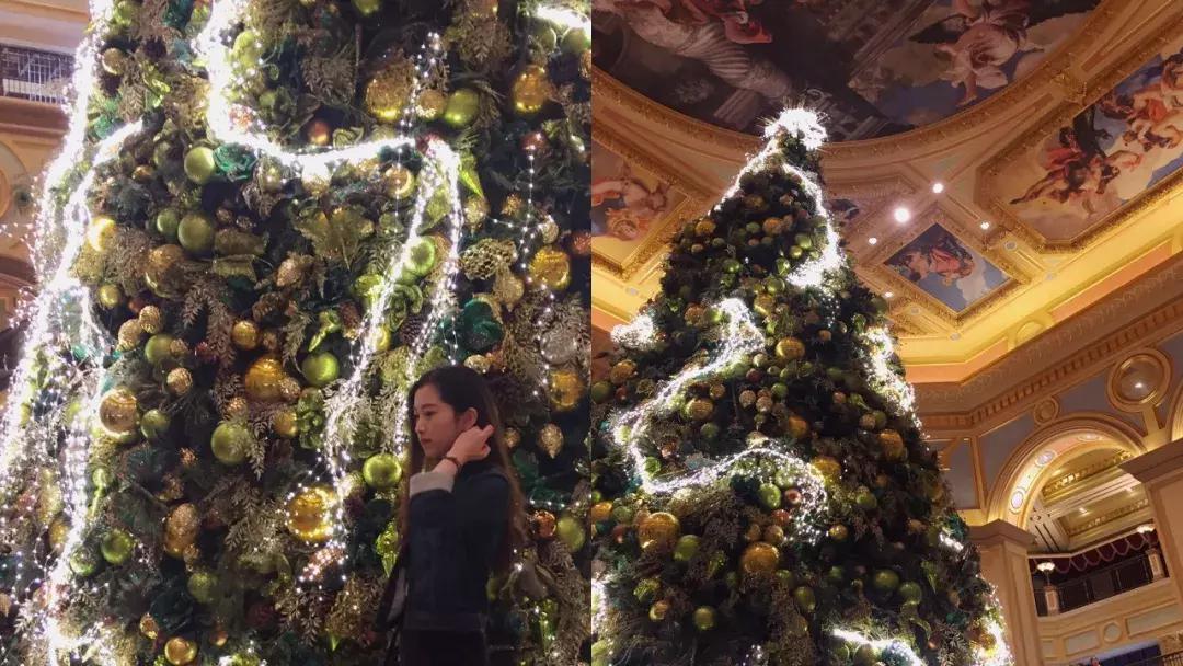 澳门玩乐攻略地图,澳门怎么玩便宜又开心