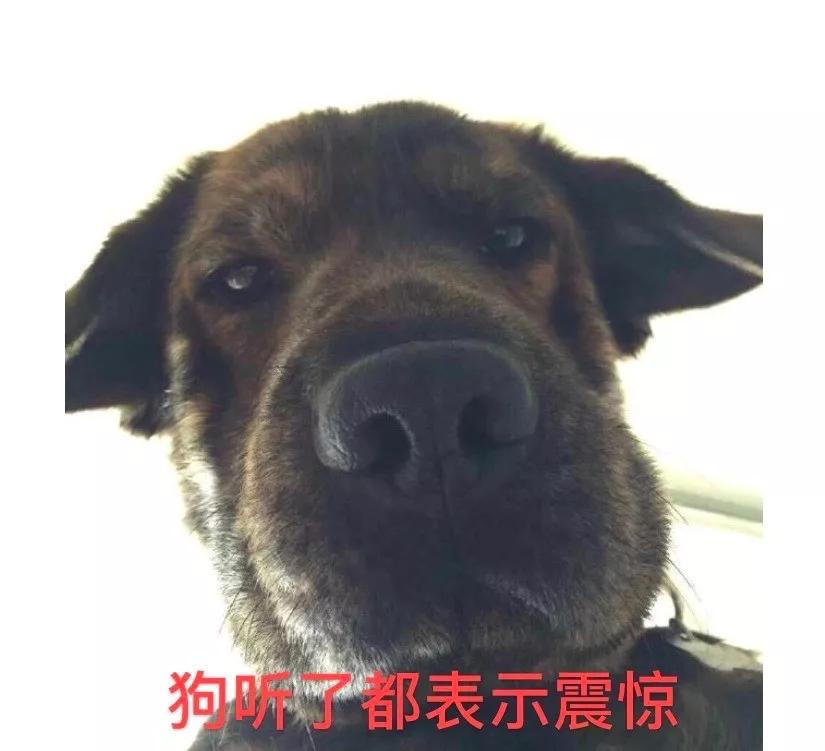 中国经典足球段子,世界杯足球笑话段子