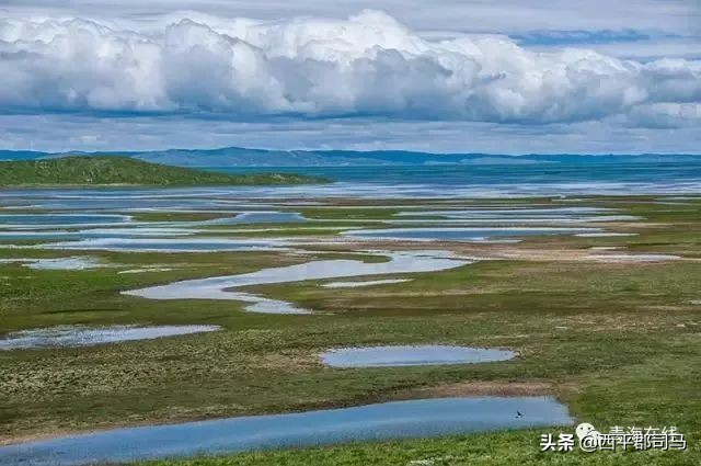 原来青海的历史还有这么多你不知道的秘密！