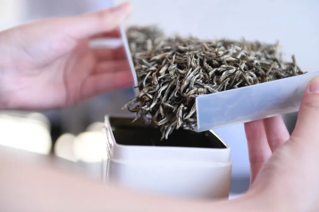 好一朵南方的茉莉花,攻城略地占据北方民间饮茶高地