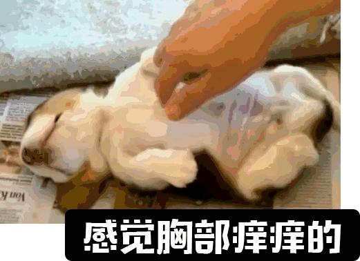 内衣*裤内**多久换洗一次？别以为简单，你也许就错了！