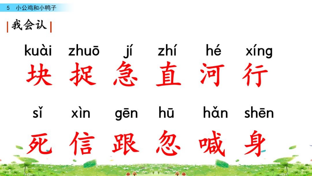 小公鸡和小鸭子一年级下册视频,一年级下语文小公鸡和小鸭子讲解