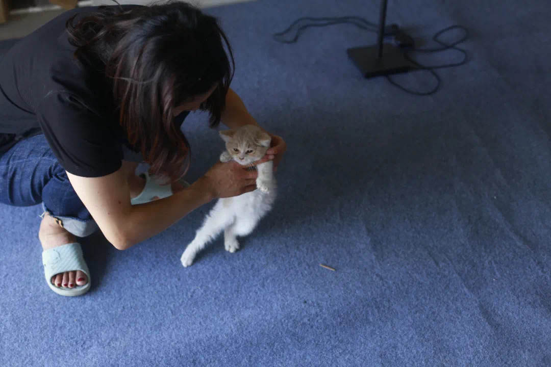 95后女孩,打工10年,首付28万买毛坯房,却被骂上热搜,为啥?