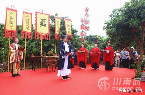 又是一年荔枝红全诗,又是一年一度荔枝成熟的季节