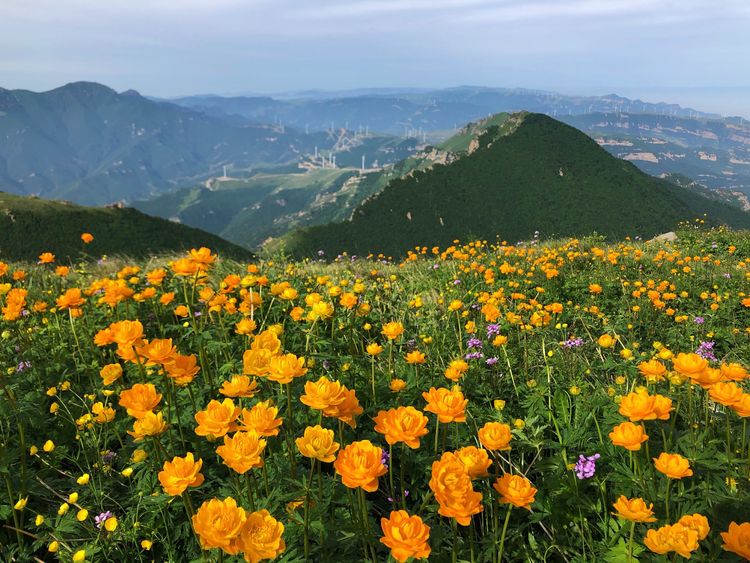 小五台山哪里进入景区,小五台山春天景色
