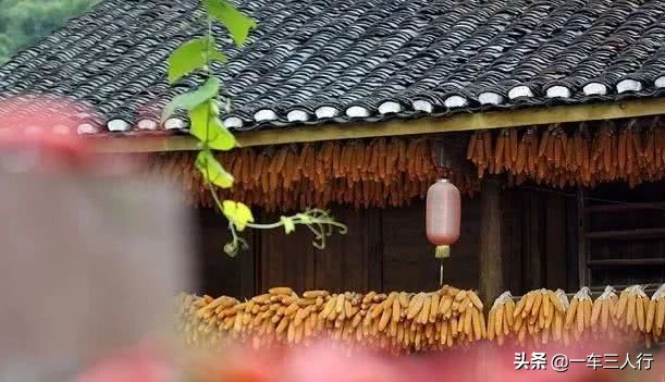 乌当的秋，风情却不张扬