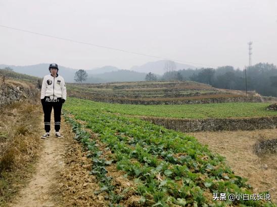 庞麦郎被逼疯视频,庞麦郎被谁逼疯的