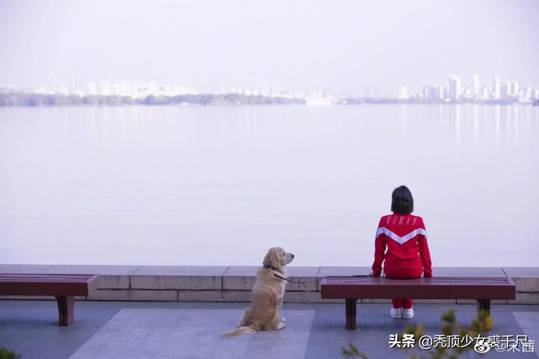 宋茜优雅随性彰显魅力,欣赏宋茜的正确打开方式