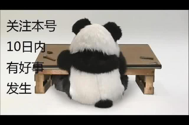 连大学校队也输的这支国足终于赢球了，球迷：下一场现原形！