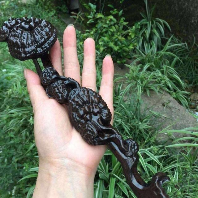 沉香最具收藏价值的种类,沉香的分类沉香的种类有哪些