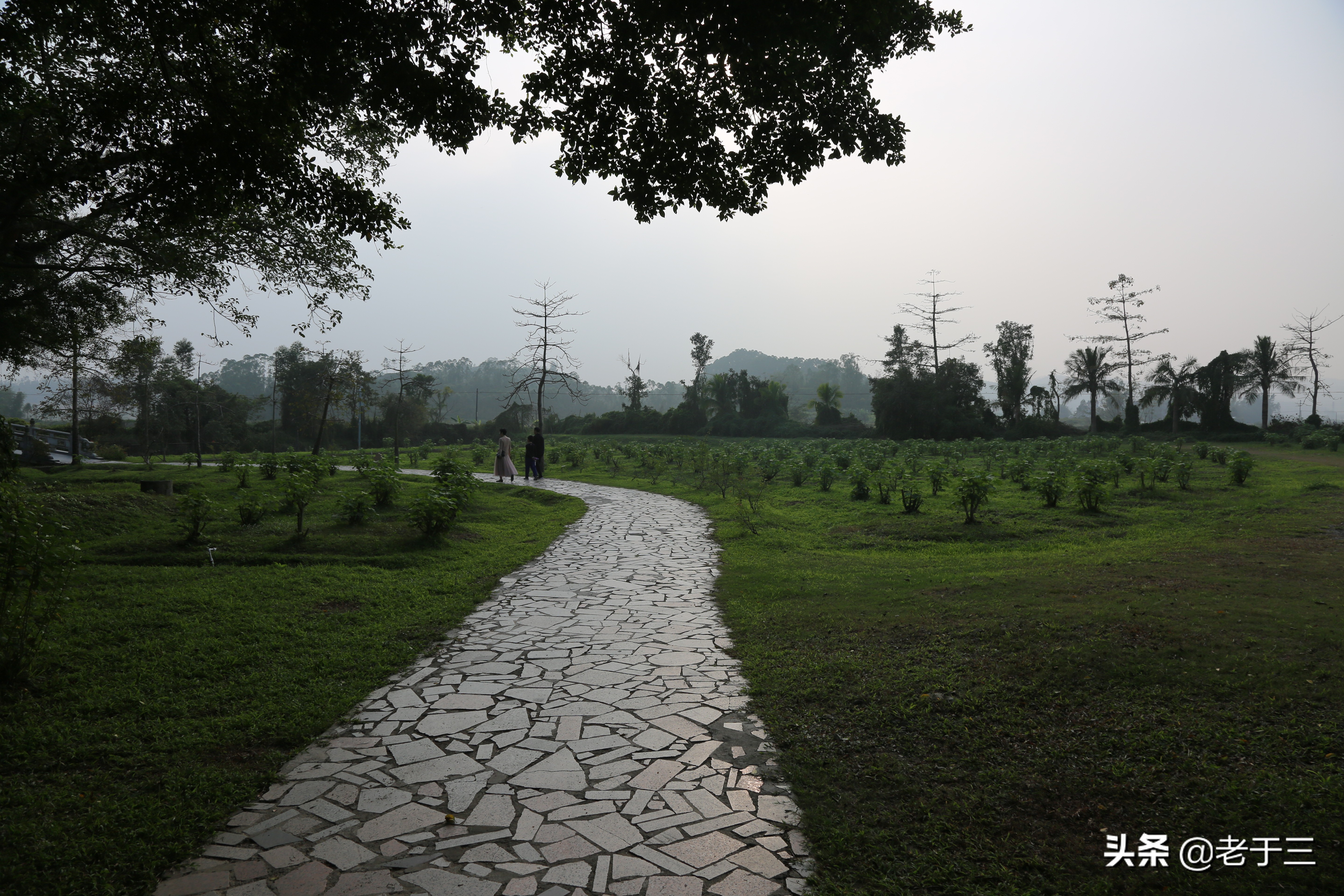 开平立园别墅,开平立园花园景观