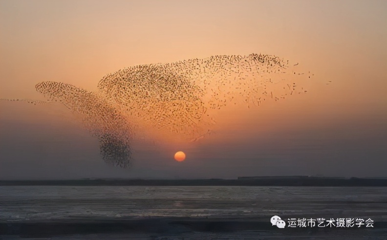 你们听说过死海吗,你听说过海洋中的强大生物吗