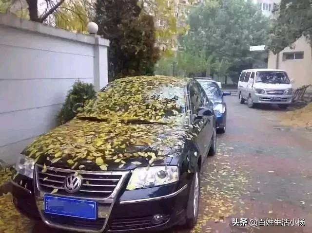 车辆停驶车船税也要交吗,汽车长时间不开需要交保险吗