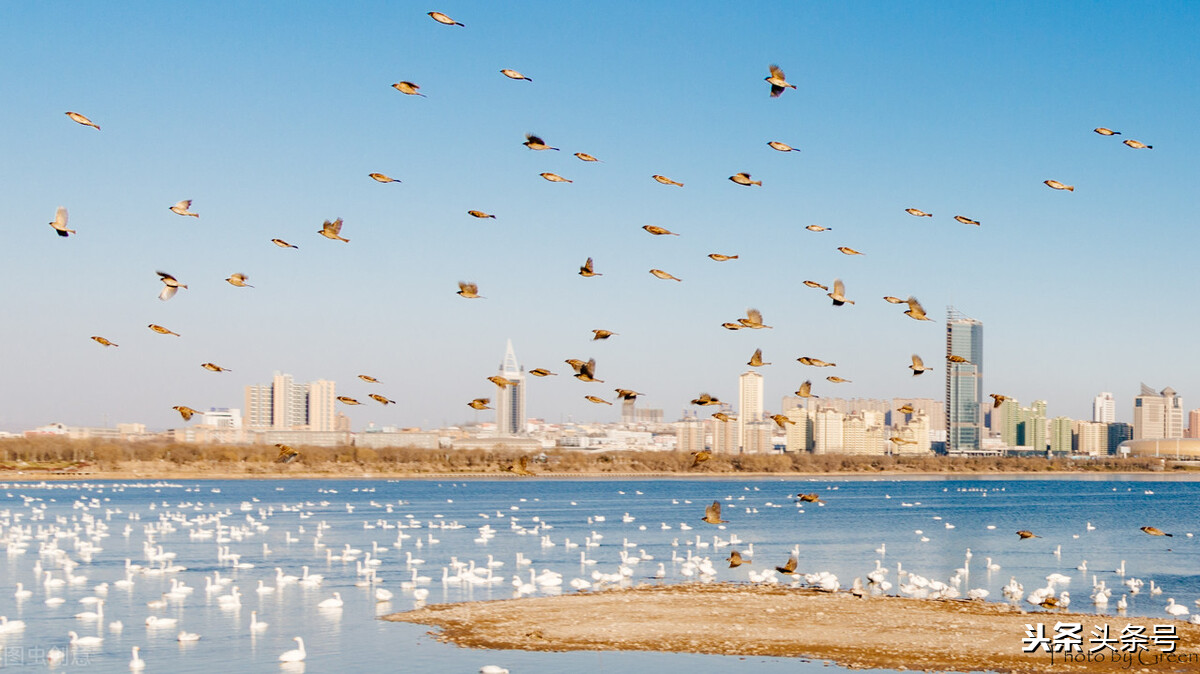 国家为什么要大力发展河南平顶山,河南省三门峡市未来发展
