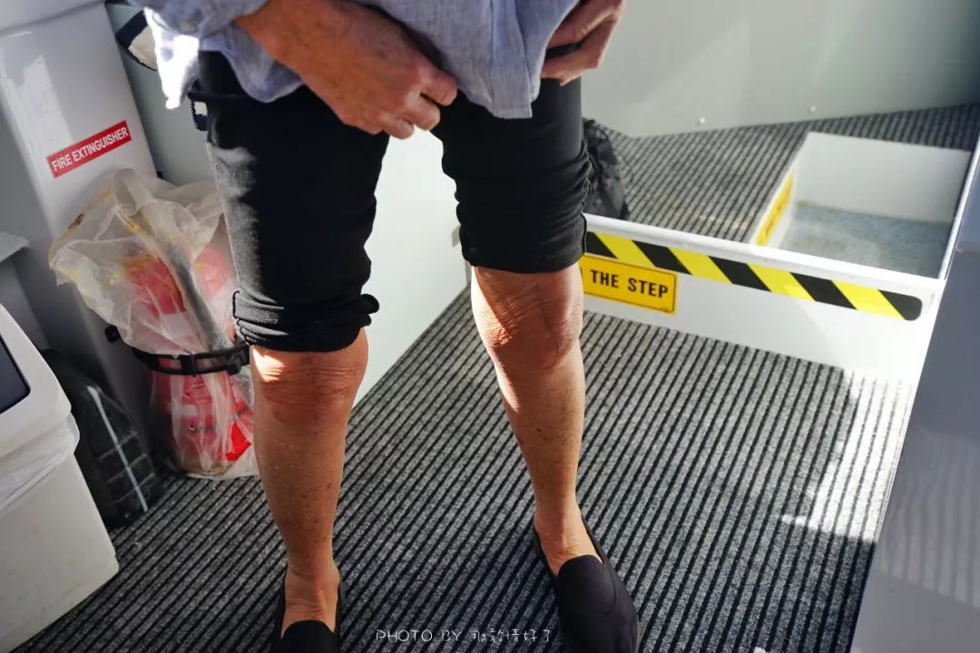 去哪里旅游可以看南极企鹅,旅游攻略南极看企鹅