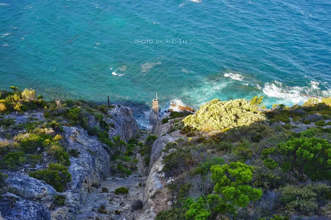 赴澳旅游注意，若带蜂蜜制品上岛，将被判两年监禁或8000澳元罚款