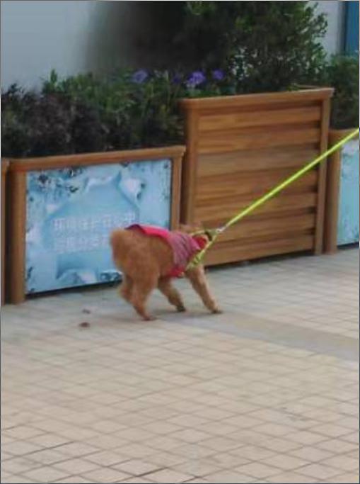 婴儿受到惊吓怎么办,小儿受到惊吓的秘方