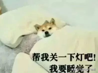 马鞍山初升高升学率,升升最近视频