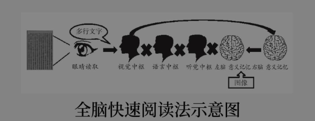 如何全脑快速阅读,全脑阅读训练法