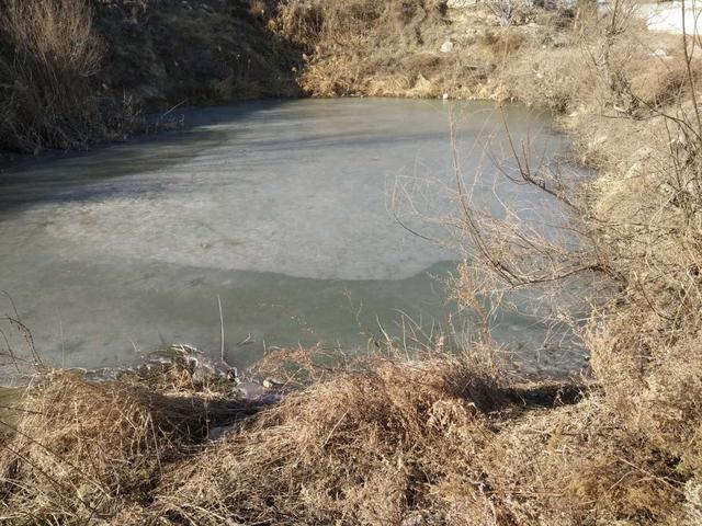 千年的鱼籽万年的草籽什么意思,千年草籽万年鱼籽是什么意思