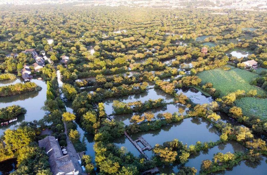 奥克斯缔逸城杭州杭州,杭州城西第一高楼奥克斯中心