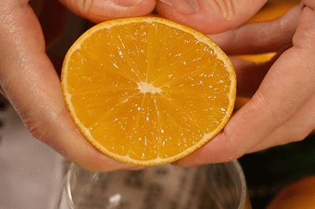 褚橙属于柑类吗,褚橙什么时间成熟