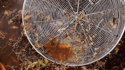 龟界百事通做的龟苓膏，煲前还要先玩火