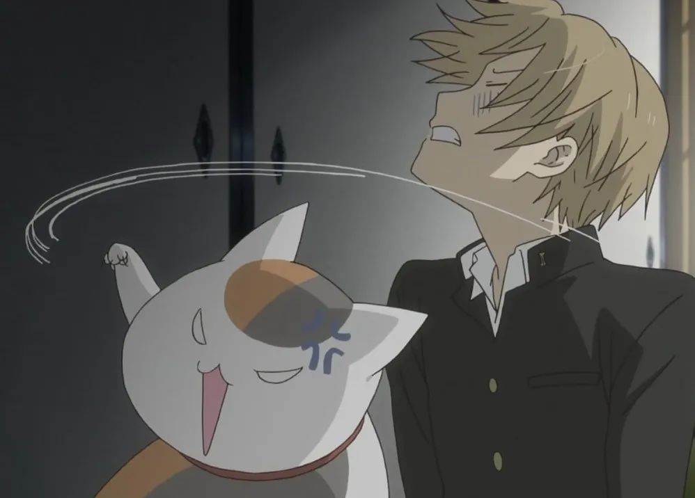 海贼王十大漫画排行榜,日本人评选的十大漫画