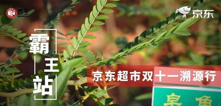 “买买买”有保障！京东溯源检查团带你探访霸王洗发水品质源头