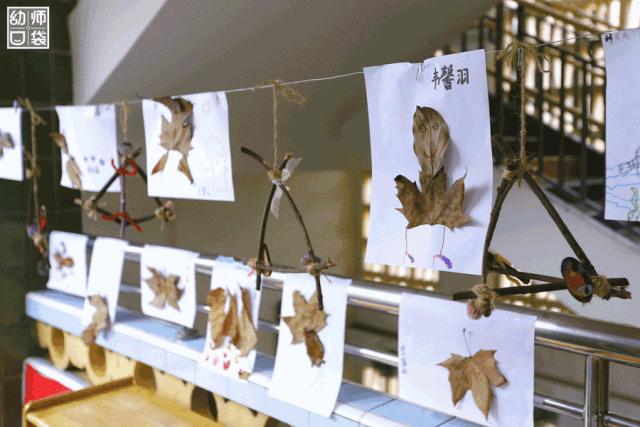 空间小、经费不足、面临*迁拆**，这家幼儿园却给出了满分的环境