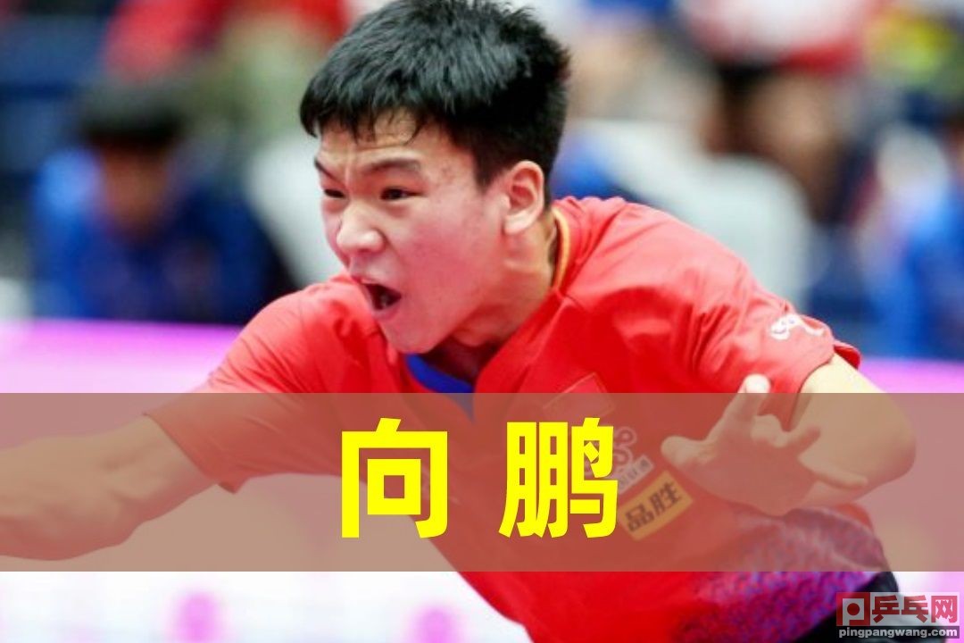 国乒出征东京奥运第三批,国乒重返赛场