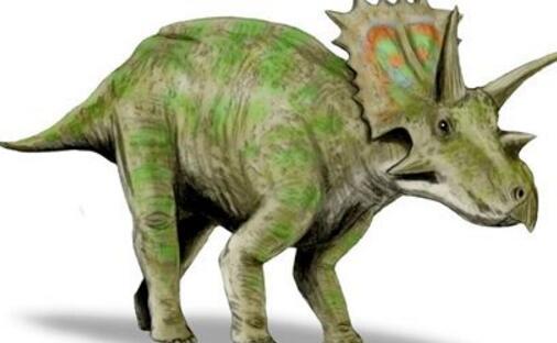 恐龙的种类很多形态更是千奇百怪,世界上所有的恐龙的名字和图片