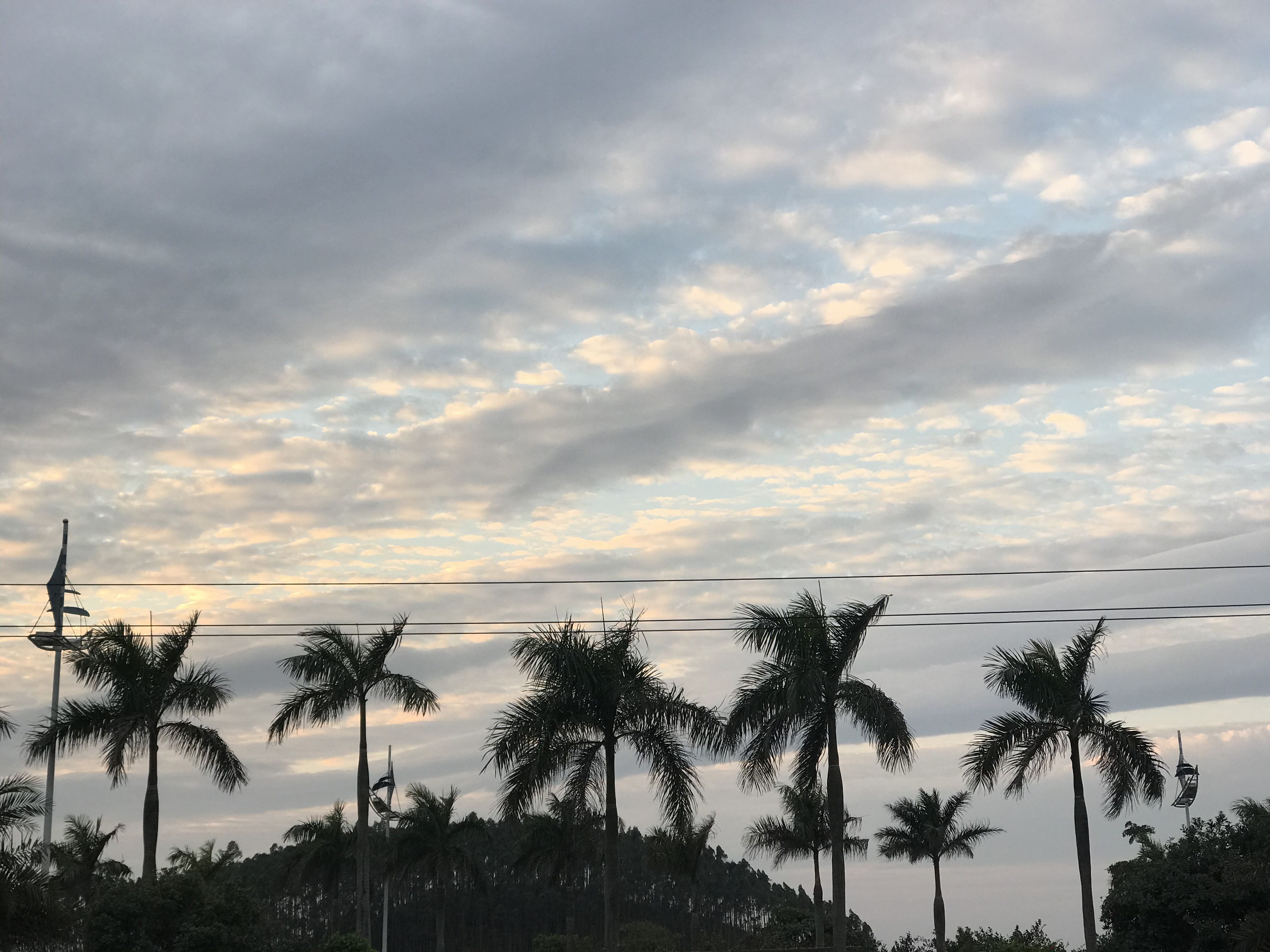 又见东兴,故地重游口岸都关闭了,不同时间不同伙伴不同心情