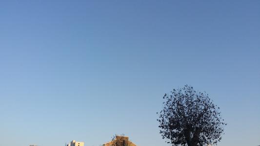 怎么过七夕会让女朋友觉得很特别,过七夕怎么才能给女朋友惊喜