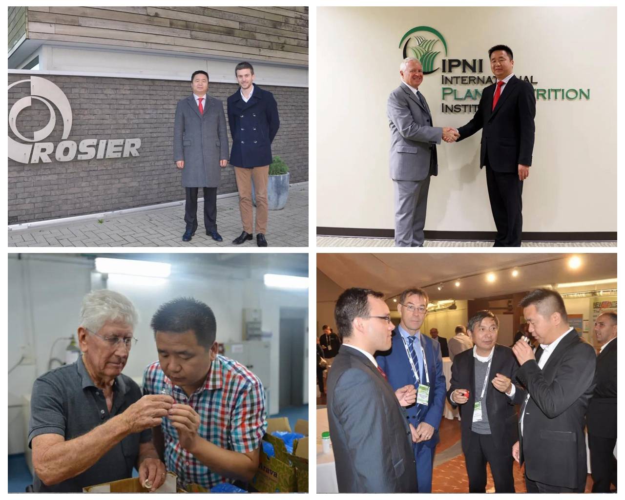 迪斯科肥料是进口吗,迪斯科肥料全国排行第几