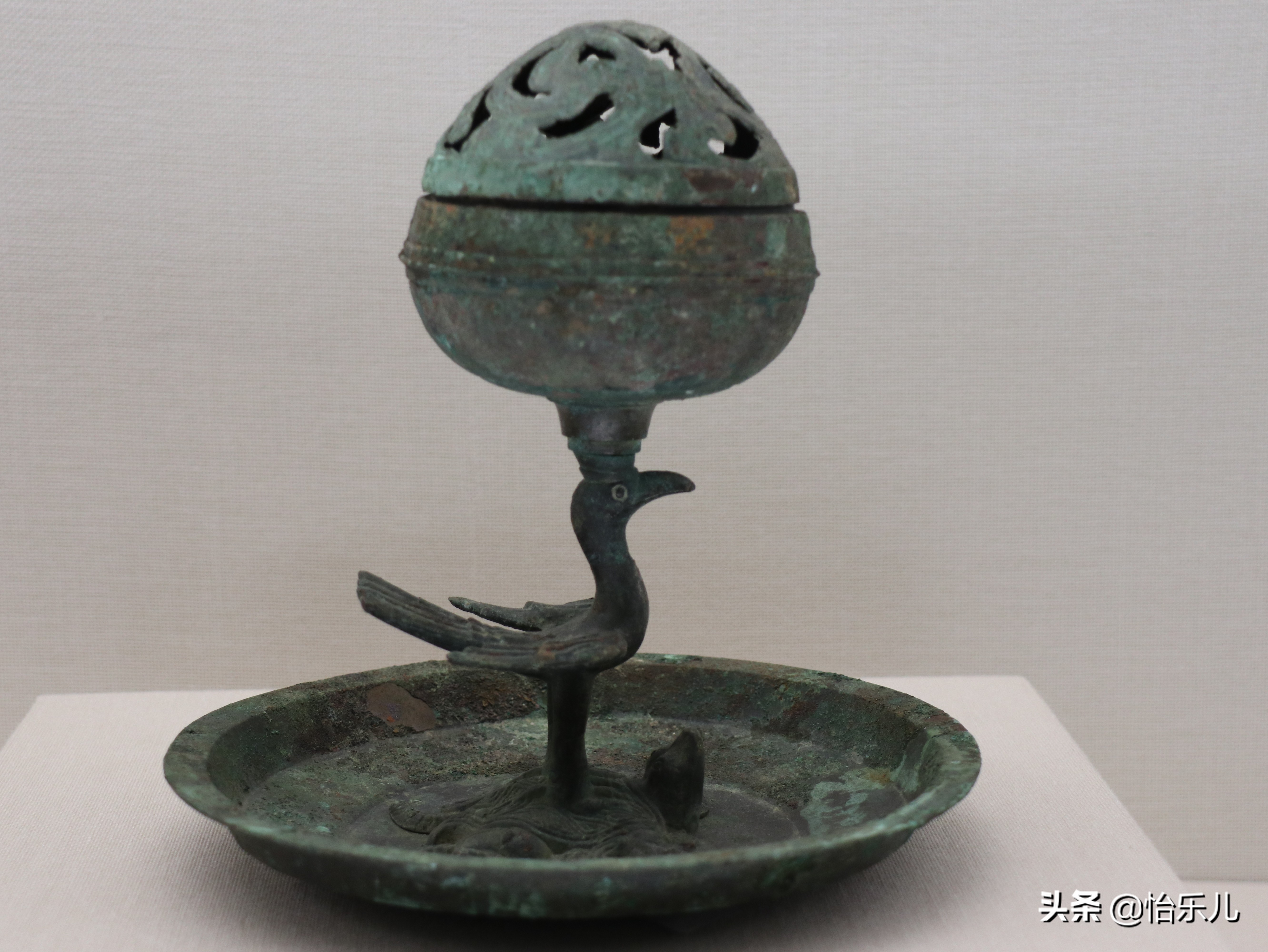 濂堣壇鍥界珛鍗氱墿棣嗛潚閾滃櫒,濂堣壇鍥界珛鍗氱墿棣嗗潅鏈簲閮庨潚閾滃櫒