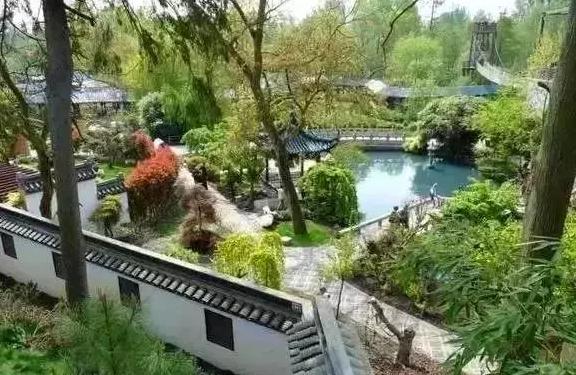 外国到底有多喜欢大熊猫,外国人是有多喜欢大熊猫