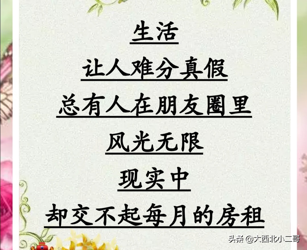 我的生活相册作文,生活相册制作