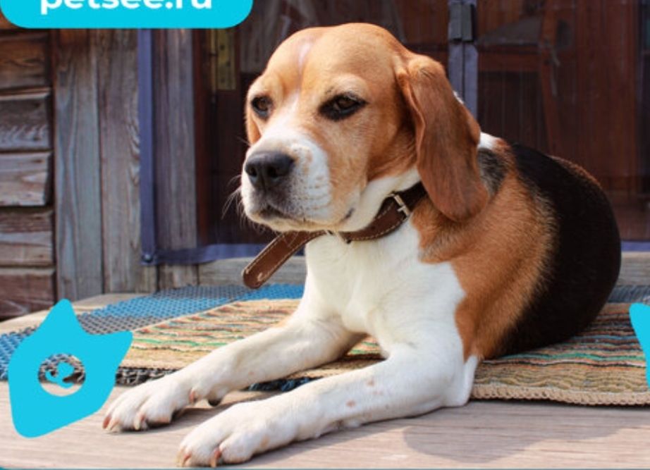 俄罗斯最著名的十大雕塑是,俄罗斯最著名的十大建筑物