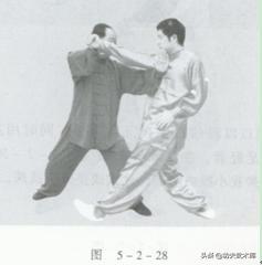 功夫招式大全视频教程,实用拳法二路炮捶