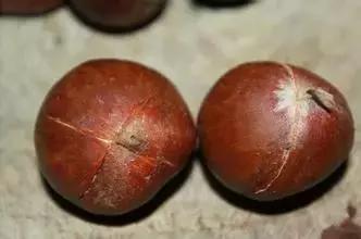 因为一时疏忽让自己悔恨终生,因为一时的疏忽造成了终身后悔