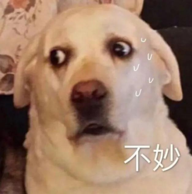 目前考驾照难不难,考驾照到底难不难啊