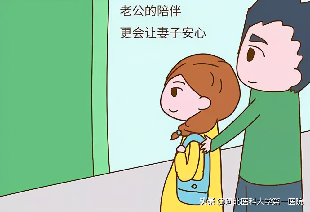 宝妈孕检收藏册,孕期知识速查孕妇必看