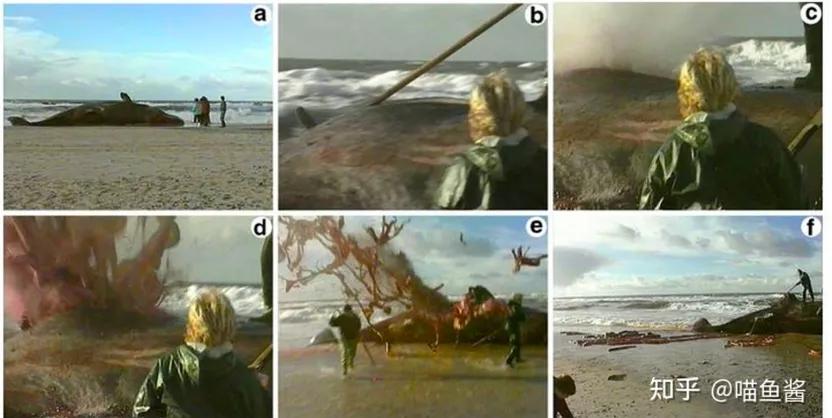 一边做实验一边看文献,一边做科研一边创业