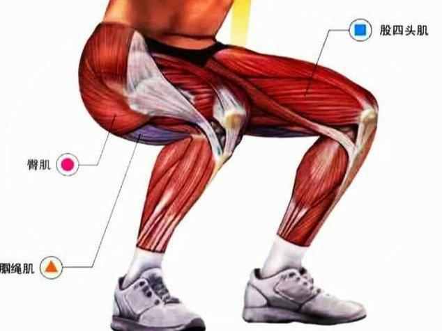 居家健身8分钟深蹲训练,在家健身的运动方式深蹲