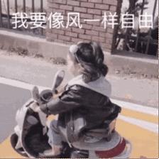 南京免费的公园,太全了