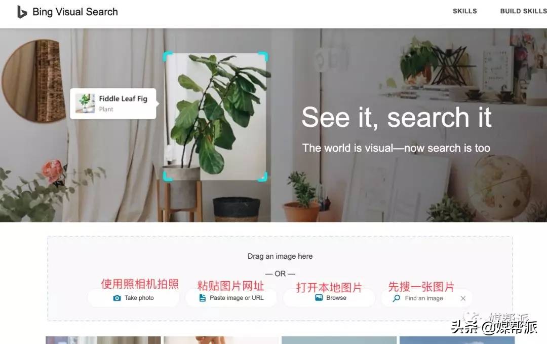 不花钱的万能识图软件,好用的识图工具