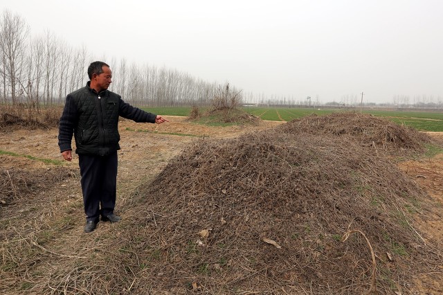 祖坟在别人家田里能埋新坟吗,祖坟在人家地里人家让迁坟怎么办
