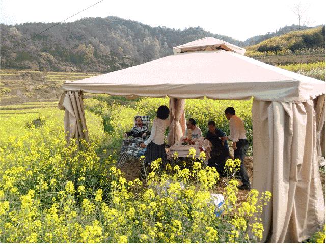 度假胜地推荐享受悠闲度假时光,国庆假期必打卡度假胜地